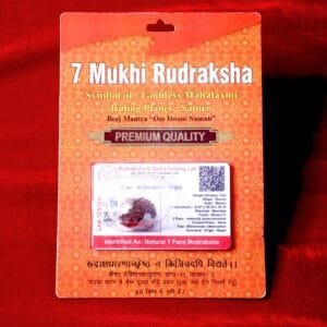 Seven Mukhi Rudraksh for Stability, Prosperity & Shani Balance