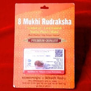 Eight Mukhi Rudraksh for Obstacle Removal & Karmic Clarity
