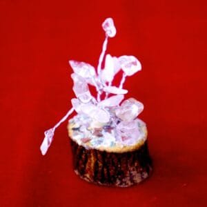 Clear Quartz Kalpatva – Sacred Clarity & Expansive Growth