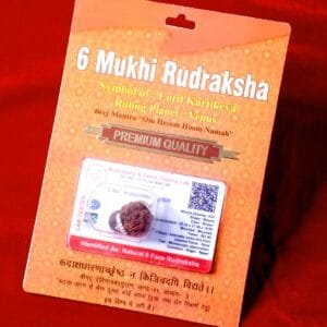 Six Mukhi Rudraksh for Discipline, Learning & Shukra Balance