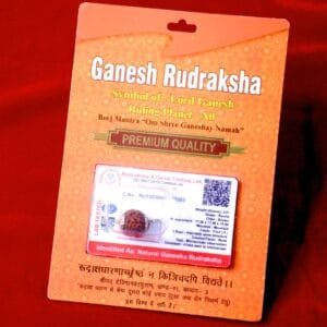 Ganesh Rudraksh for Clarity, Wisdom & Auspicious Beginnings