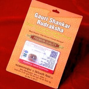 Gauri Shankar Rudraksh for Harmony, Union & Inner Balance