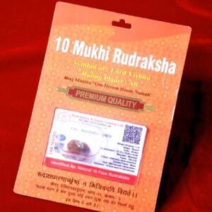 Ten Mukhi Rudraksh for Planetary Peace & Vedic Protection