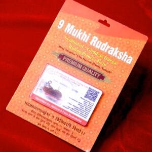 Nine Mukhi Rudraksh for Courage, Protection & Shakti Balance