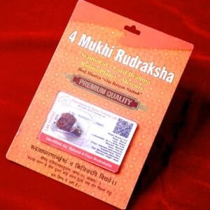 Four Mukhi Rudraksh for Intellect, Learning & Speech Clarity