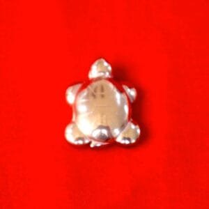 Golden Hematite Turtle for Aura Shielding & Energetic Strength