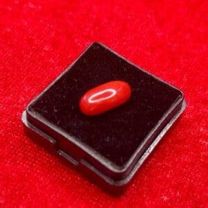 Natural Red Coral 3.30 Carat Oval Cut – Mangal Strength & Courage Gemstone