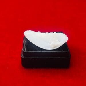 Shukramani 15.55 Carat – Attraction, Luxury & Venus Energy