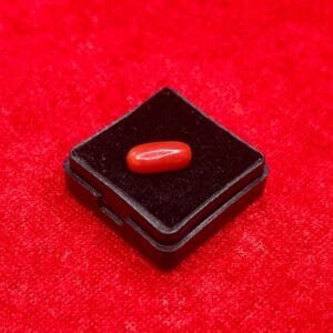 Natural Red Coral 3.15 Carat Oval Cut – Mangal Strength & Courage Gemstone
